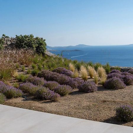Zelia B&B & Villa Mykonos Town Esterno foto